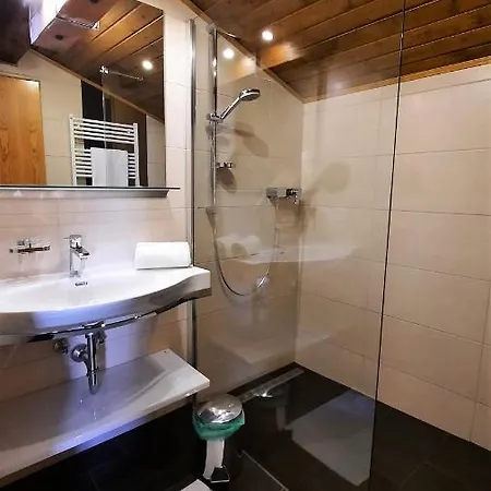 Haus Elfi Apartment Wagrain